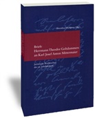 Theodor Goltdammer, Dorothee Mussgnug - Briefe Herrmann Theodor Goltdammers an Karl Josef Anton Mittermaier
