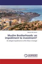 Marenne Mei Jansen - Muslim Brotherhoods: an impediment to investment?