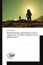 Oussama Abidi, Abidi-o - Modelisation geologique de la