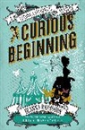 Deanna Raybourn, Raybourn Deanna - A Curious beginning