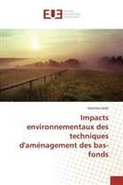 Stanislas Sorbi, Sorbi-s - Impacts environnementaux des