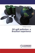 Wellington Camacho - Oil spill pollution: a Brazilian experience