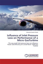 Gherardo Quario Rondo - Influence of Inlet Pressure Loss on Performance of a Micro GasTurbine