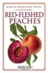C Thornton, C. Thornton - Red-fleshed Peaches