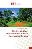 Constantin Maurice Ndongue, Ndongue-c - Geo electricites et