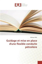 Othmen Felhi, Felhi-o - Guidage et mise en place d une