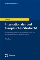 Helmut Satzger - Internationales und Europäisches Strafrecht