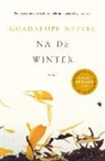 Guadalupe Nettel - Na de winter