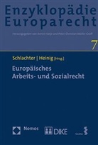 Hans M. Heinig, Hans Michael Heinig, Monika Schlachter - Europäisches Arbeits- und Sozialrecht