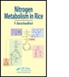 P. Basuchaudhuri, Pranab Basuchaudhuri, Pranab (Indian Council of Agricultu Basuchaudhuri, Pranab (Indian Council of Agricultural Research (Retired) Basuchaudhuri, Basuchaudhuri Pranab - Nitrogen Metabolism in Rice