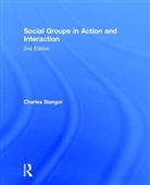 Charles Stangor, Charles (University of Maryland College Park Stangor, Stangor Charles - Social Groups in Action and Interaction