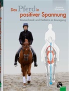 Stefan Stammer - Das Pferd in positiver Spannung