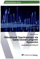 Fabian Gottwald - Vibrational Spectroscopy via Generalized Langevin Dynamics
