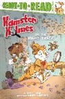 Albin Sadar, Albin/ Fabbretti Sadar, Valerio Fabbretti - Hamster Holmes, on the Right Track