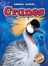 Megan Borgert-Spaniol - Cranes