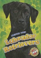 Chris Bowman - Labrador Retrievers