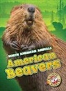 Megan Borgert-Spaniol - American Beavers