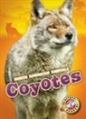 Chris Bowman - Coyotes