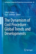 Coli B Picker, Colin B Picker, Colin B. Picker, Seidman, Seidman, Guy Seidman... - The Dynamism of Civil Procedure - Global Trends and Developments