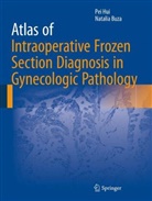 Natalia Buza, Pe Hui, Pei Hui - Atlas of Intraoperative Frozen Section Diagnosis in Gynecologic Pathology