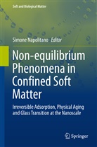 Simon Napolitano, Simone Napolitano - Non-equilibrium Phenomena in Confined Soft Matter