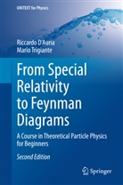 Riccard D'Auria, Riccardo D'Auria, Mario Trigiante - From Special Relativity to Feynman Diagrams