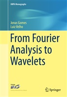 Jona Gomes, Jonas Gomes, Luiz Velho - From Fourier Analysis to Wavelets