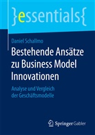 Daniel Schallmo, Daniel R. A. Schallmo - Bestehende Ansätze zu Business Model Innovationen