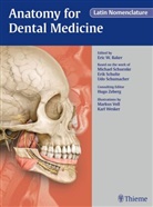 Eric Baker, Eric W Baker, Eric W. Baker, Michae Schuenke, Michael Schuenke, Eri Schulte... - Anatomy for Dental Medicine, Latin Nomenclature