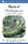 Frank Hawkins, Hawkins Frank, Roger Safford, Roger Skerrett Safford, Safford Roger, Adrian Skerrett... - Birds of Madagascar and the Indian Ocean Islands