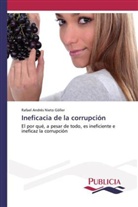 Rafael Andrés Nieto Göller - Ineficacia de la corrupción