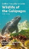 Daniel Fitter, Julian Fitter, Julian Fitter Fitter, David Hosking - Wildlife of the Galapagos