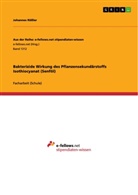 Johannes Rößler - Bakterizide Wirkung des Pflanzensekundärstoffs Isothiocyanat (Senföl)