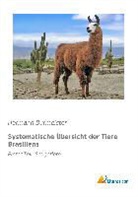 Hermann Burmeister - Systematische Übersicht der Tiere Brasiliens