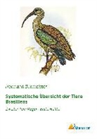 Hermann Burmeister - Systematische Übersicht der Tiere Brasiliens