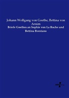 Bettina vo Arnim, Bettina von Arnim, Johann Wolfgang vo Goethe, Johann Wolfgang von Goethe - Briefe Goethes an Sophie von La Roche und Bettina Brentano