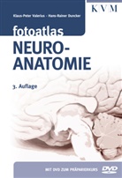 Hans-Rain Duncker, Hans-Rainer Duncker, Klaus-Peter Valerius, Klaus-Peter (Dr. Dr. Valerius, Klaus-Peter (Dr. Dr.) Valerius - Fotoatlas Neuroanatomie, m. DVD