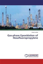 David Lokhat - Gas-phase Epoxidation of Hexafluoropropylene