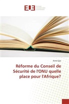 Aimé Egla, Egla-a - Reforme du conseil de securite de