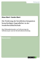 Klaus Ebert, Sandr Ebert, Sandra Ebert - Die Förderung der beruflichen Integration benachteiligter Jugendlicher in der Sonderberufsfachschule
