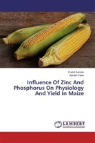 Praful Kamble, Prafull Kamble, Adinath Palve - Influence Of Zinc And Phosphorus On Physiology And Yield In Maize