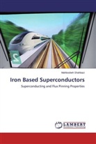 Mahboobeh Shahbazi - Iron Based Superconductors