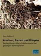 John Lubbock - Ameisen, Bienen und Wespen