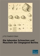 J P E Friedrich Stein, J. P. E. Friedrich Stein, J.P.E.Friedrich Stein - Die lebenden Schnecken und Muscheln der Umgegend Berlins