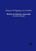Johann Wolfgang von Goethe - Briefe in kleiner Auswahl