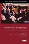 Andre Bachtiger, Andre (European University Institute Bachtiger, Kimmo Gronlund, Kimmo Grönlund, André B¿chtiger, André Bächtiger... - Deliberative Mini-Publics