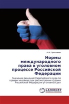 Ju. V. Prosolenko, Ju.V. Prosolenko - Normy mezhdunarodnogo prava v ugolovnom processe Rossijskoj Federacii
