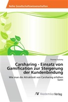Thomas Gotsmy - Carsharing - Einsatz von Gamification zur Steigerung der Kundenbindung