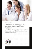 Stéphane Routier, Routier-s - Comment se developpe la e sante