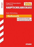 Mai Abshagen, Maik Abshagen, Martin Fetzer, Walte Schmid, Walter Schmid - Hauptschule 2016 - Hauptschulabschluss Mathematik, Baden-Württemberg, Lösungen